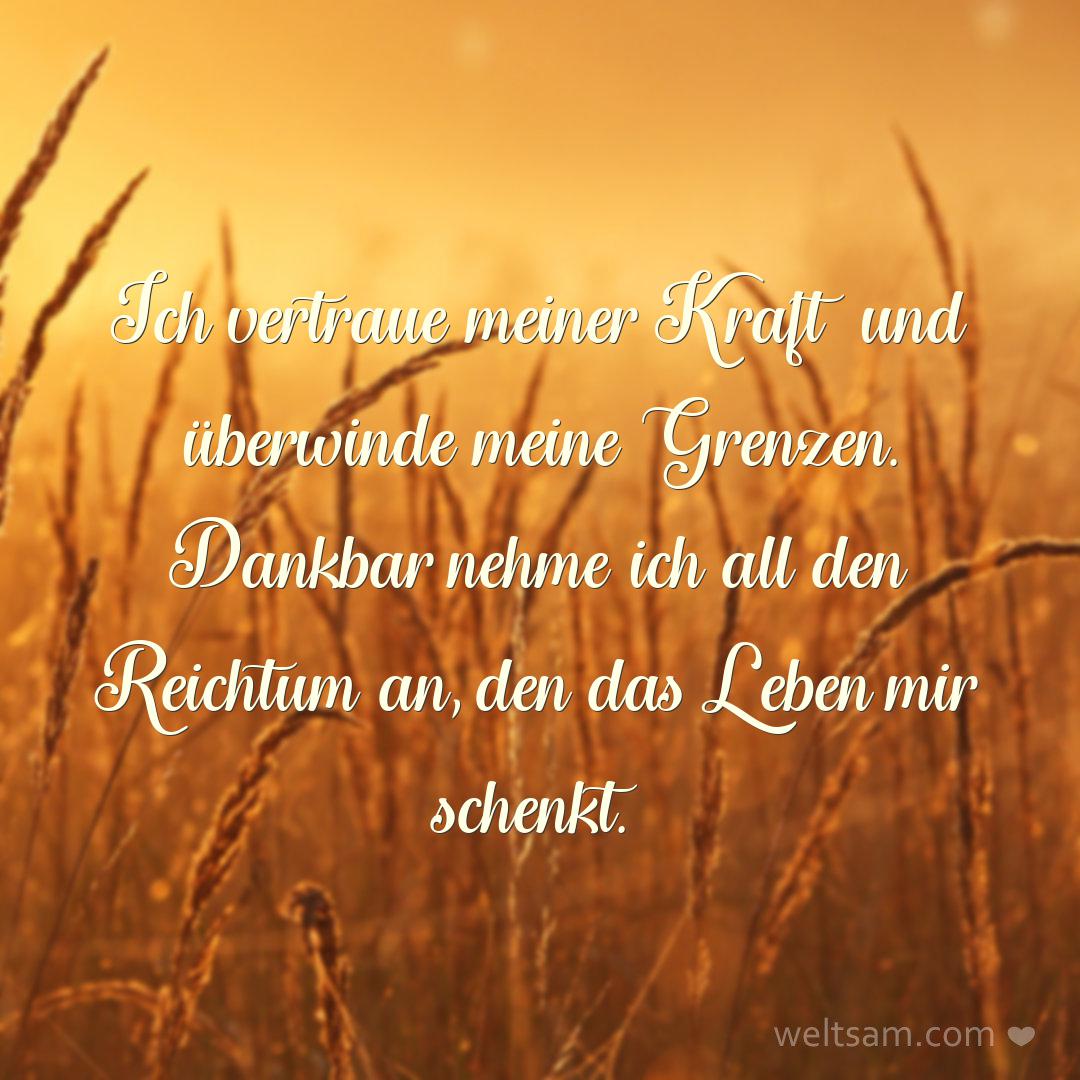Ich vertraue meiner Kraft und überwinde meine Grenzen. Dankbar nehme ich all den Reichtum an, den das Leben mir schenkt.
