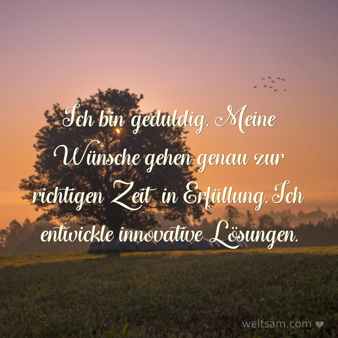 Ich bin geduldig. Meine Wünsche gehen genau zur richtigen Zeit in Erfüllung. Ich entwickle innovative Lösungen.