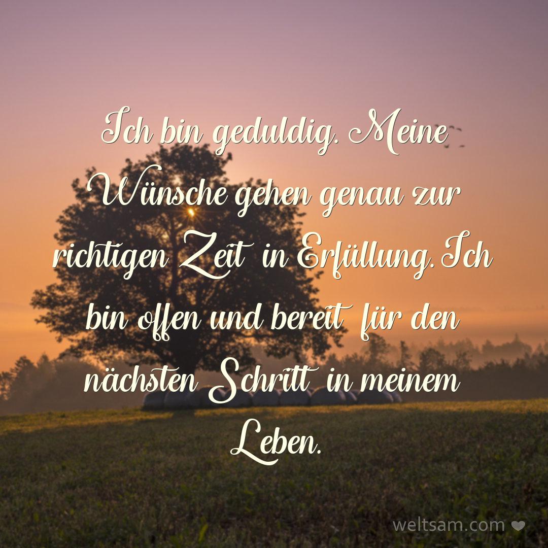 Ich bin geduldig. Meine Wünsche gehen genau zur richtigen Zeit in Erfüllung. Ich bin offen und bereit für den nächsten Schritt in meinem Leben.