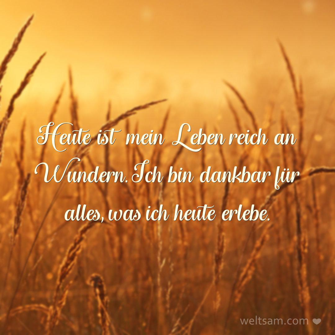 Heute ist mein Leben reich an Wundern. Ich bin dankbar für alles, was ich heute erlebe.