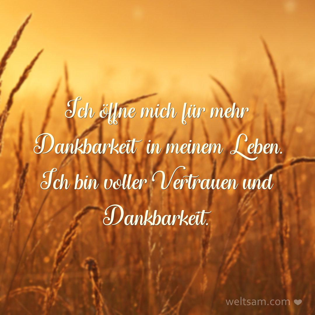 Ich öffne mich für mehr Dankbarkeit in meinem Leben. Ich bin voller Vertrauen und Dankbarkeit.