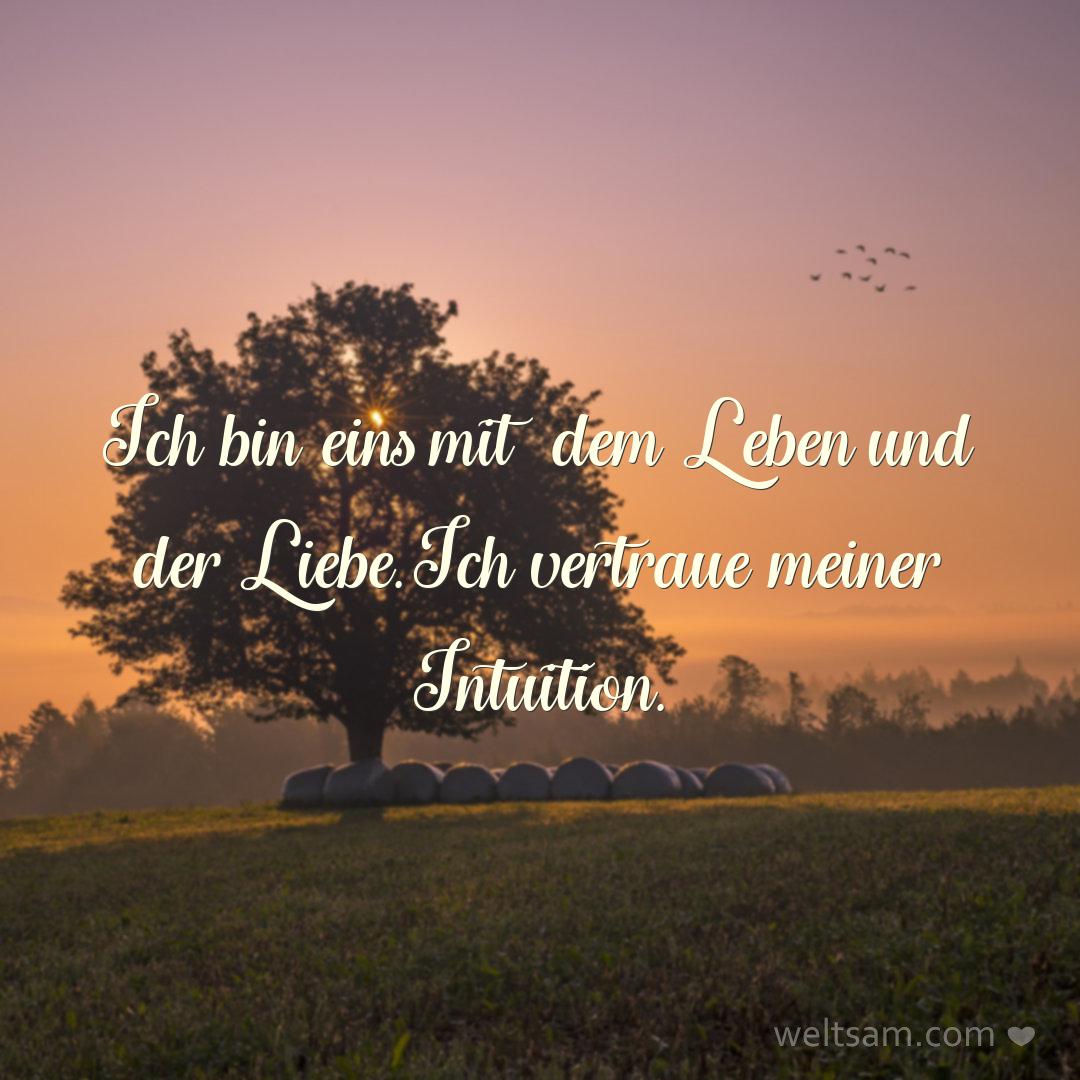 Ich bin eins mit dem Leben und der Liebe. Ich vertraue meiner Intuition.