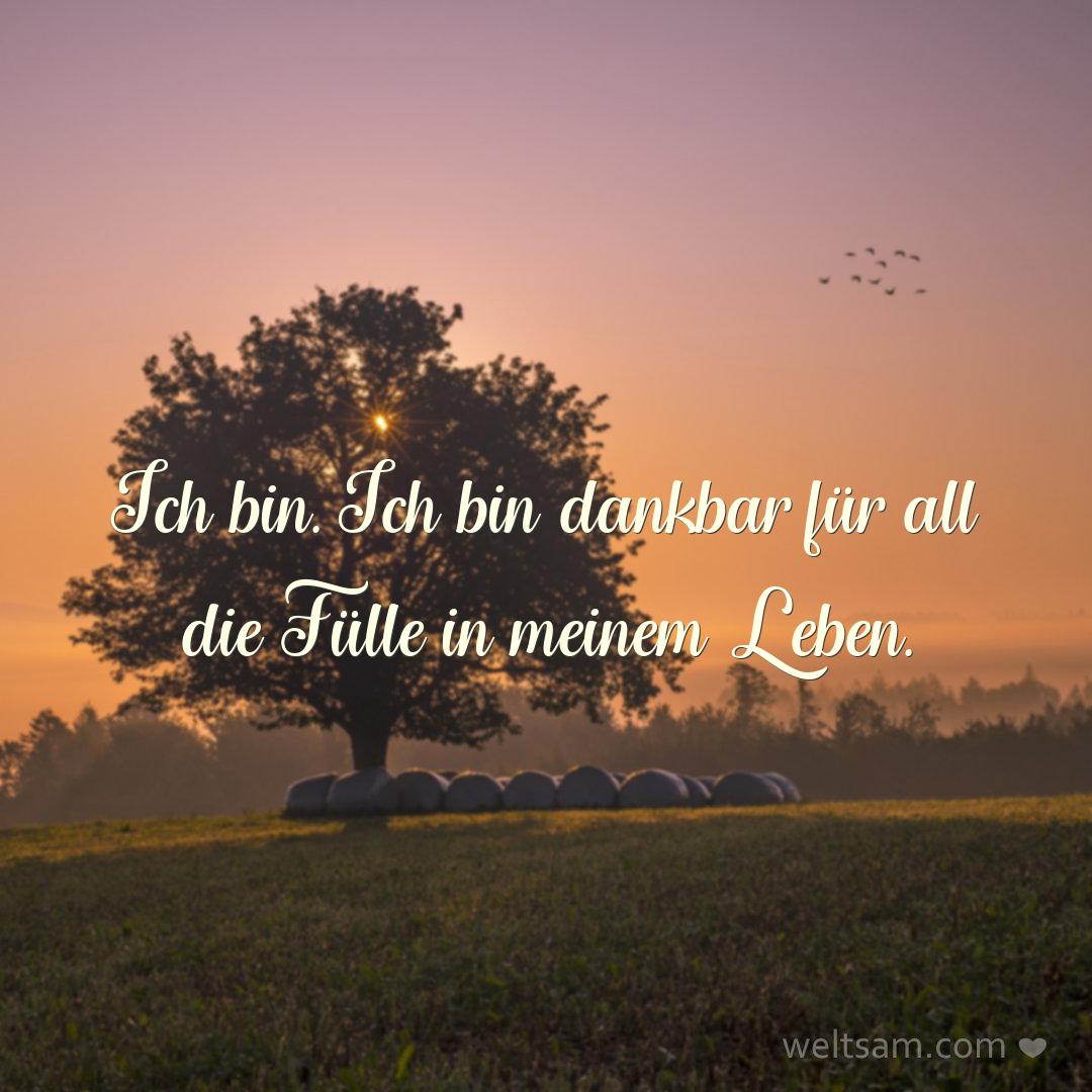 Ich bin. Ich bin dankbar für all die Fülle in meinem Leben.