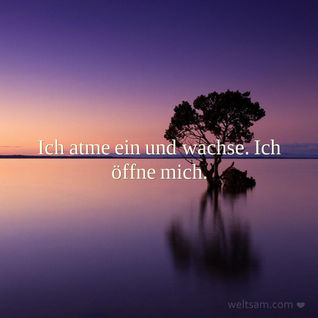 Ich atme ein und wachse. Ich öffne mich.