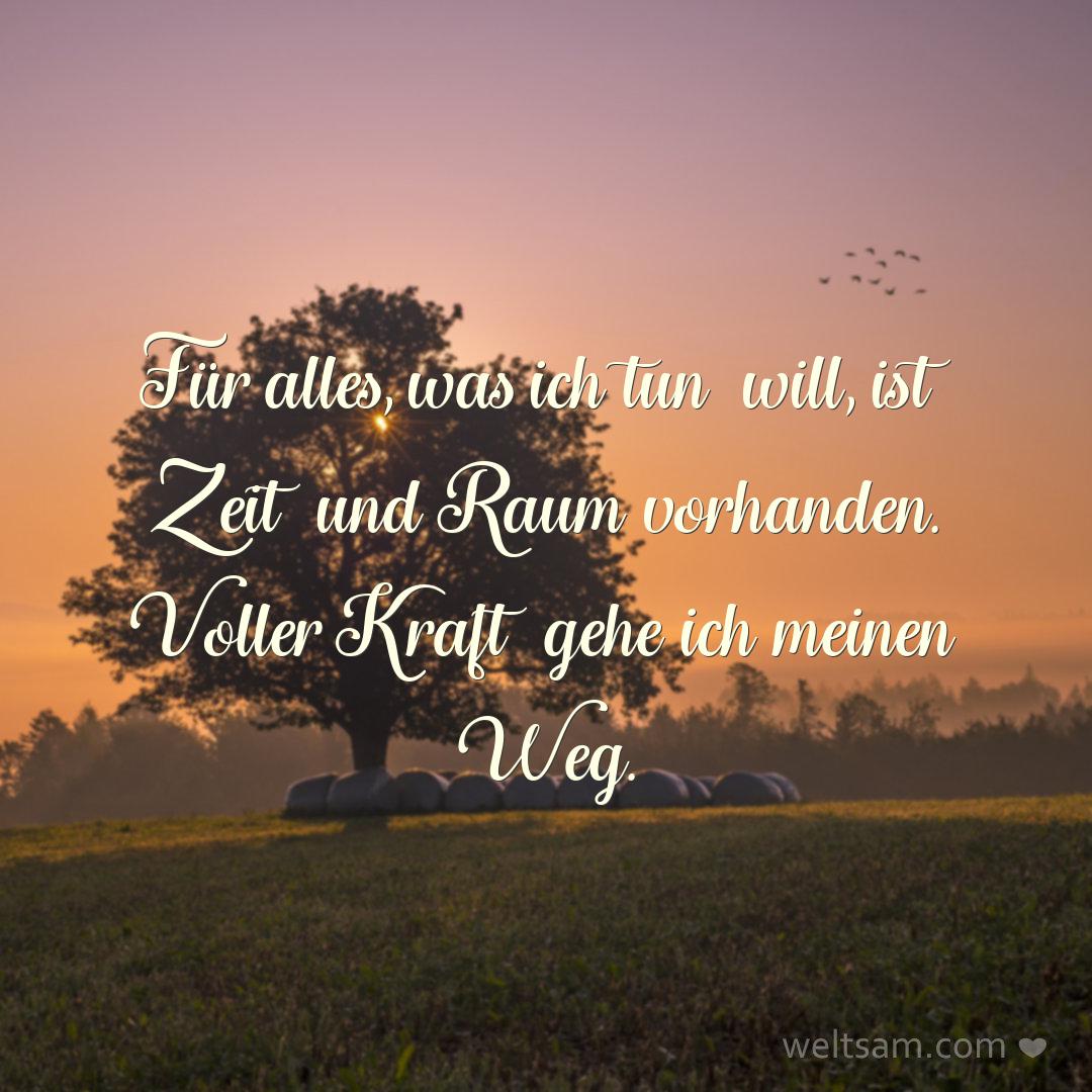 Für alles, was ich tun will, ist Zeit und Raum vorhanden. Voller Kraft gehe ich meinen Weg.