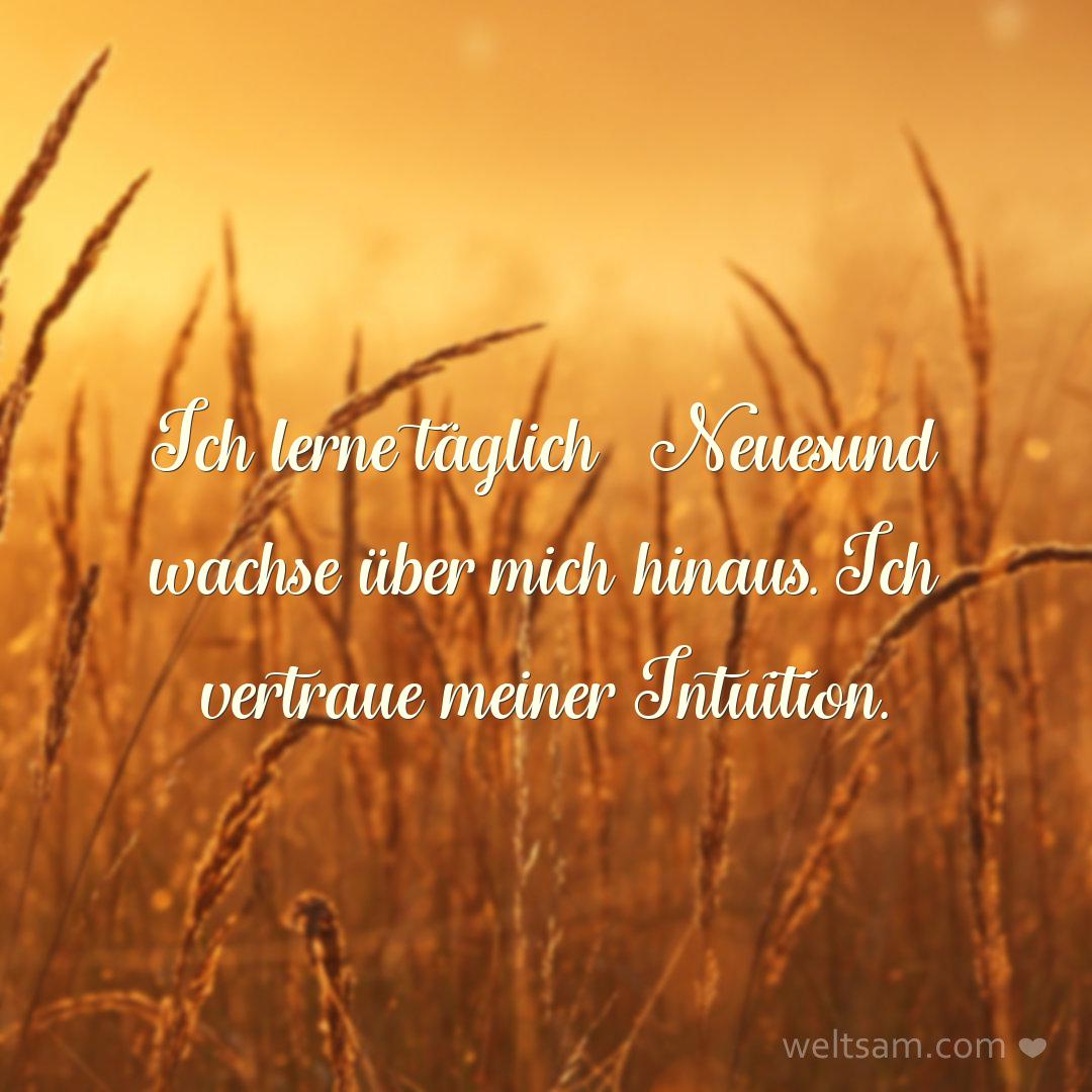 Ich lerne täglich Neues und wachse über mich hinaus. Ich vertraue meiner Intuition.