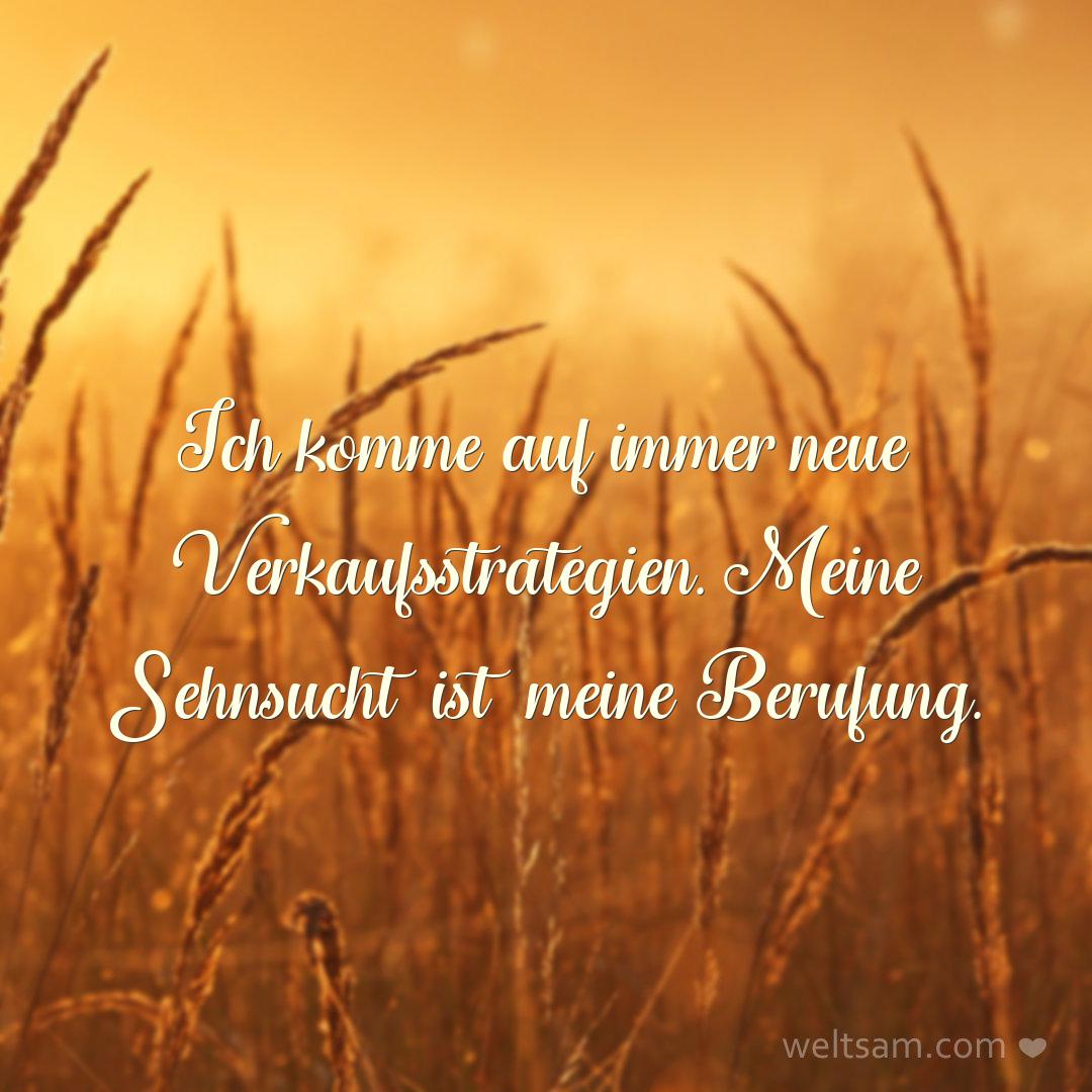 Ich komme auf immer neue Verkaufsstrategien. Meine Sehnsucht ist meine Berufung.