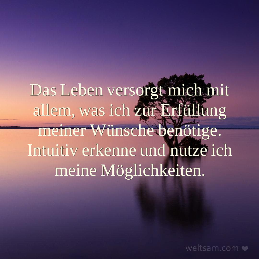 Das Leben versorgt mich mit allem, was ich zur Erfüllung meiner Wünsche benötige. Intuitiv erkenne und nutze ich meine Möglichkeiten.