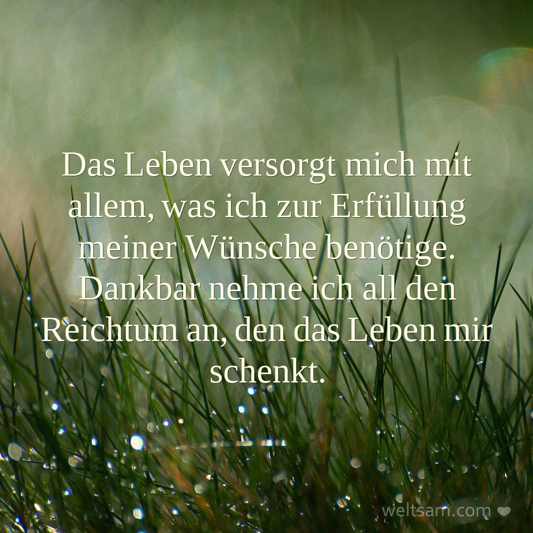 Das Leben versorgt mich mit allem, was ich zur Erfüllung meiner Wünsche benötige. Dankbar nehme ich all den Reichtum an, den das Leben mir schenkt.