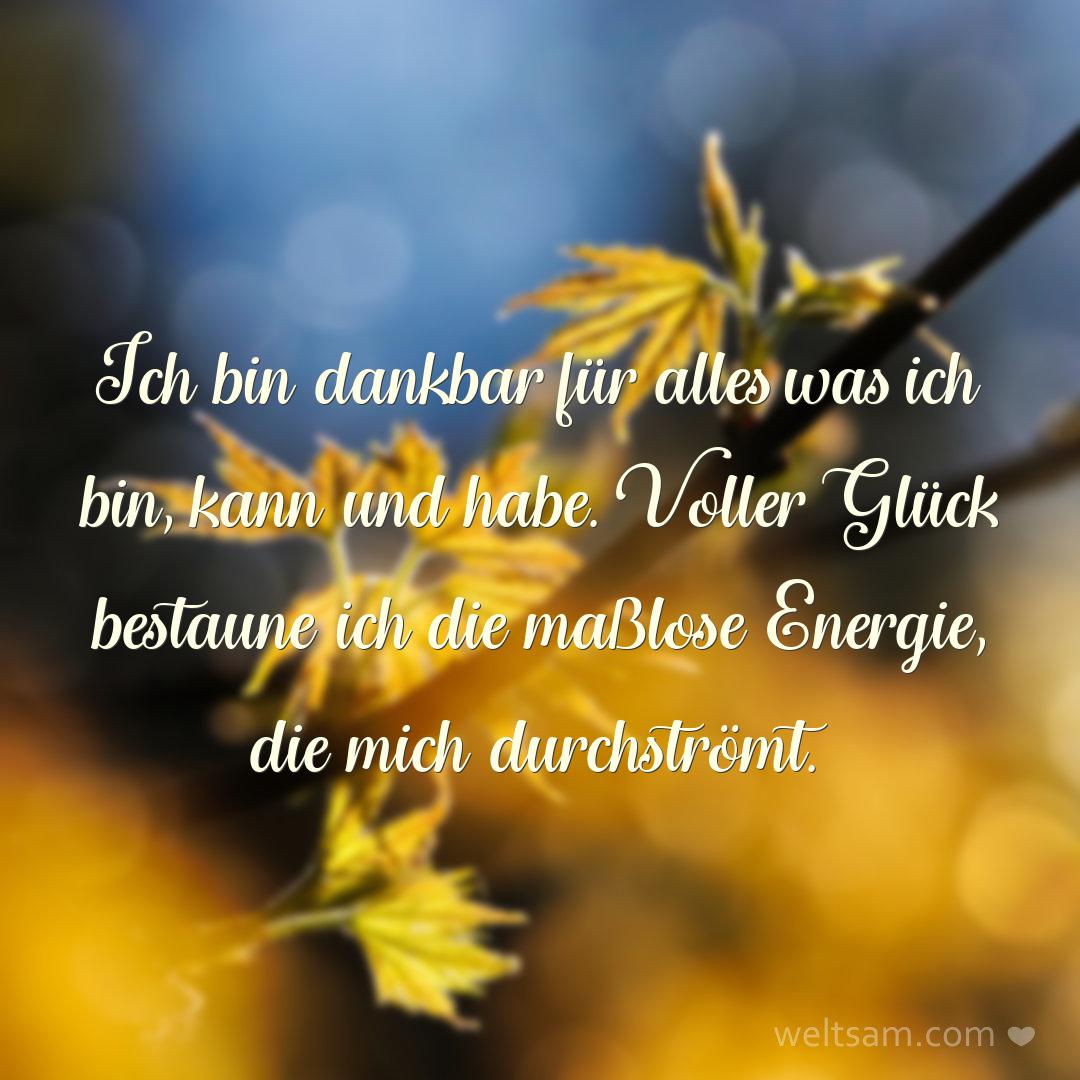 Ich bin dankbar für alles was ich bin, kann und habe. Voller Glück bestaune ich die maßlose Energie, die mich durchströmt.