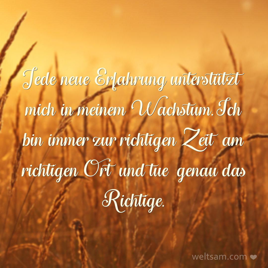 Jede neue Erfahrung unterstützt mich in meinem Wachstum. Ich bin immer zur richtigen Zeit am richtigen Ort und tue genau das Richtige.