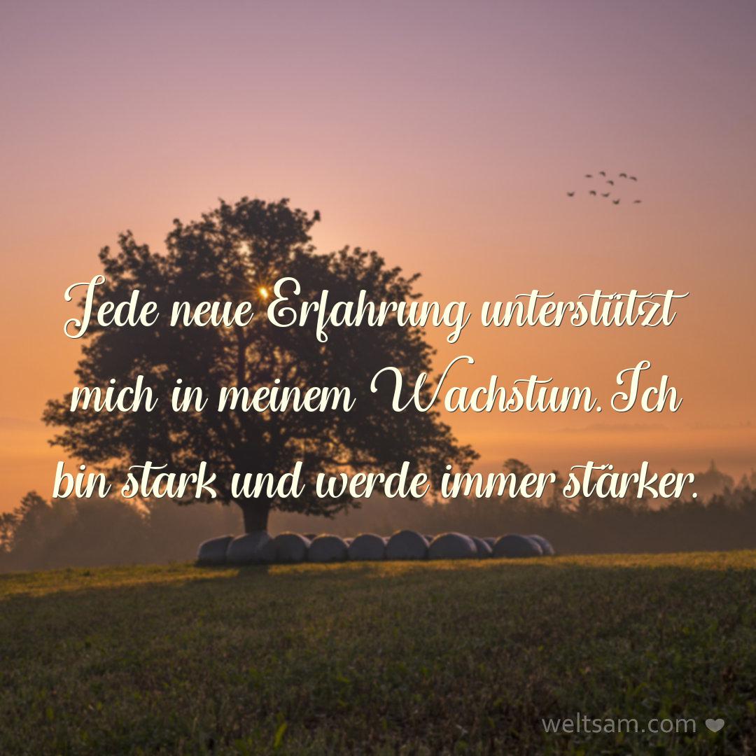 Jede neue Erfahrung unterstützt mich in meinem Wachstum. Ich bin stark und werde immer stärker.