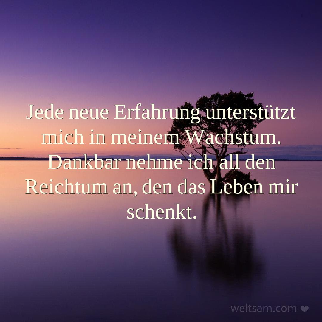 Jede neue Erfahrung unterstützt mich in meinem Wachstum. Dankbar nehme ich all den Reichtum an, den das Leben mir schenkt.