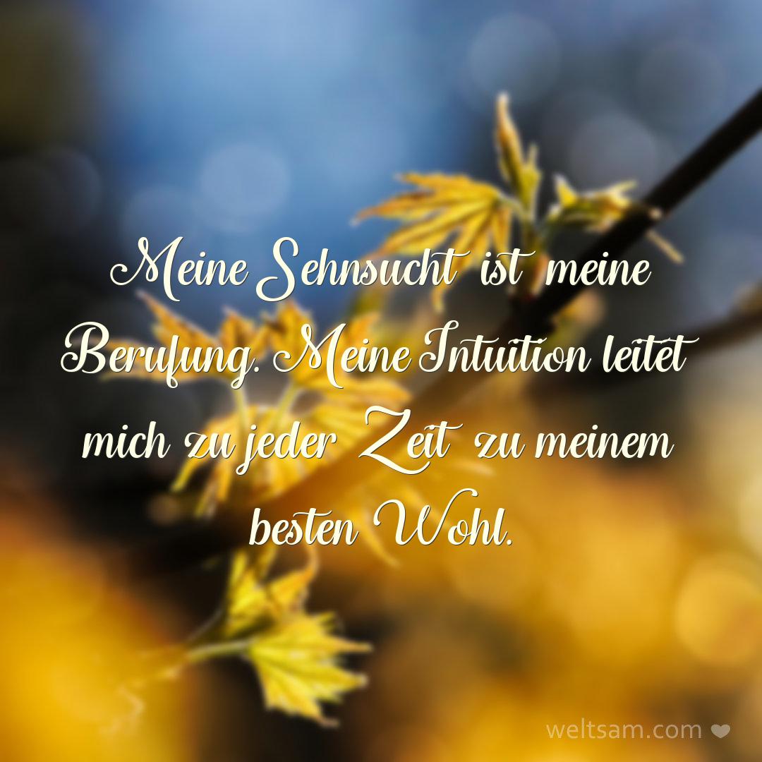 Meine Sehnsucht ist meine Berufung. Meine Intuition leitet mich zu jeder Zeit zu meinem besten Wohl.