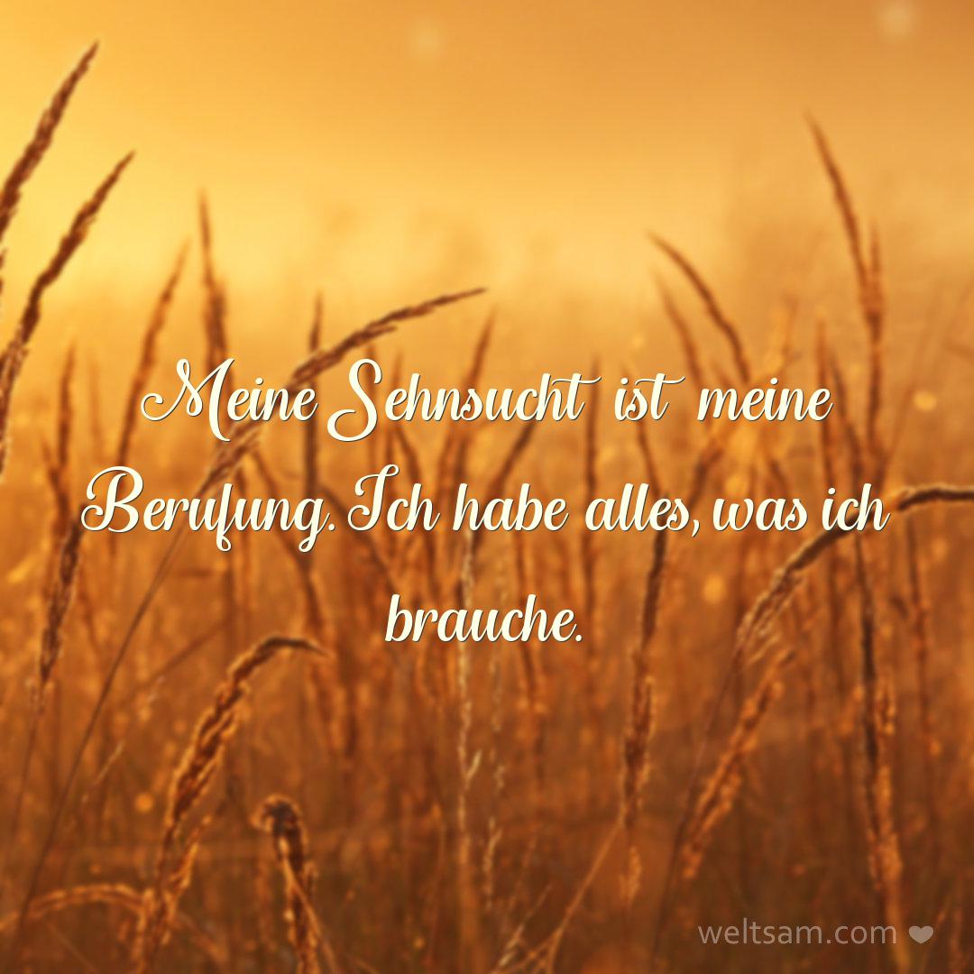 Meine Sehnsucht ist meine Berufung. Ich habe alles, was ich brauche.