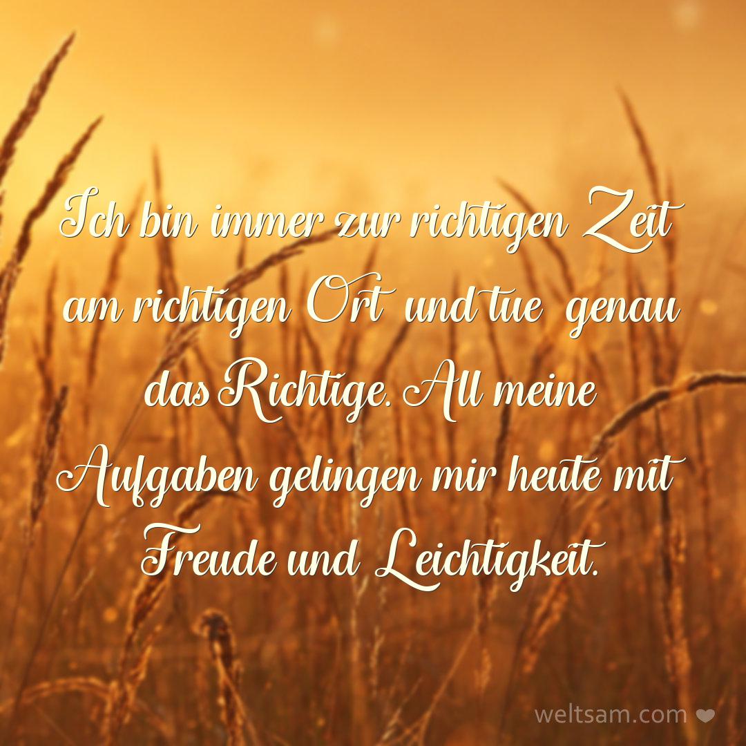 Ich bin immer zur richtigen Zeit am richtigen Ort und tue genau das Richtige. All meine Aufgaben gelingen mir heute mit Freude und Leichtigkeit.