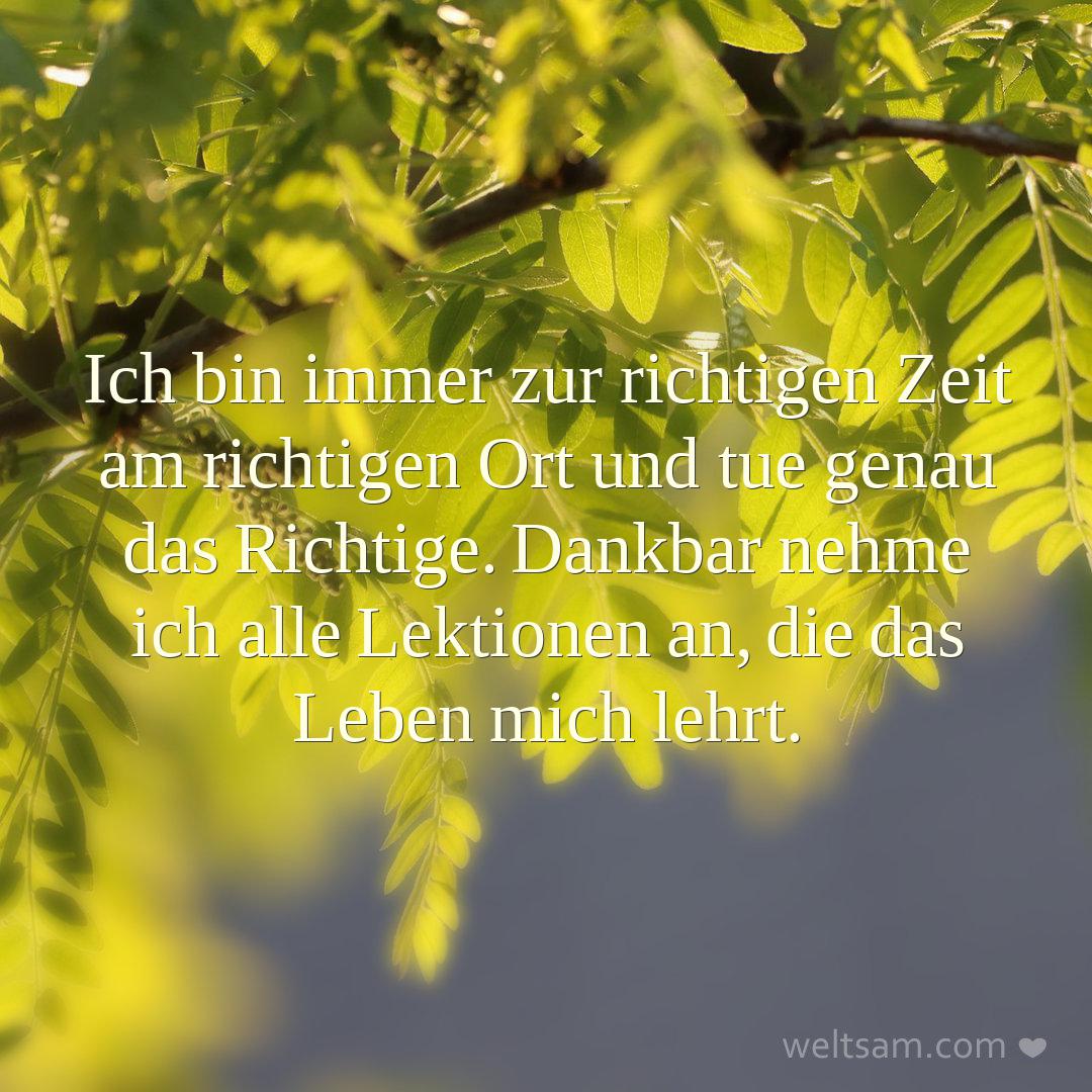 Ich bin immer zur richtigen Zeit am richtigen Ort und tue genau das Richtige. Dankbar nehme ich alle Lektionen an, die das Leben mich lehrt.