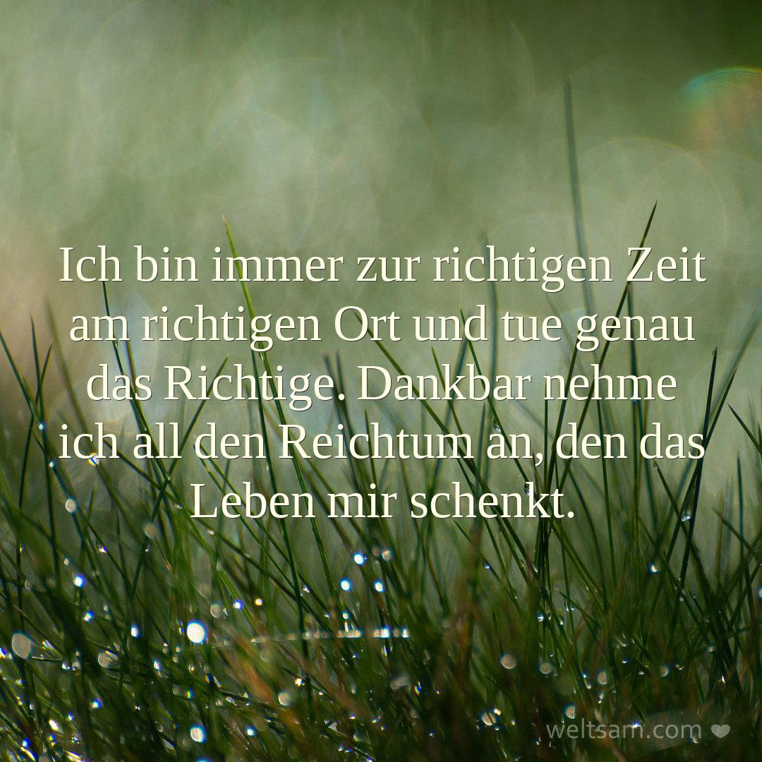 Ich bin immer zur richtigen Zeit am richtigen Ort und tue genau das Richtige. Dankbar nehme ich all den Reichtum an, den das Leben mir schenkt.