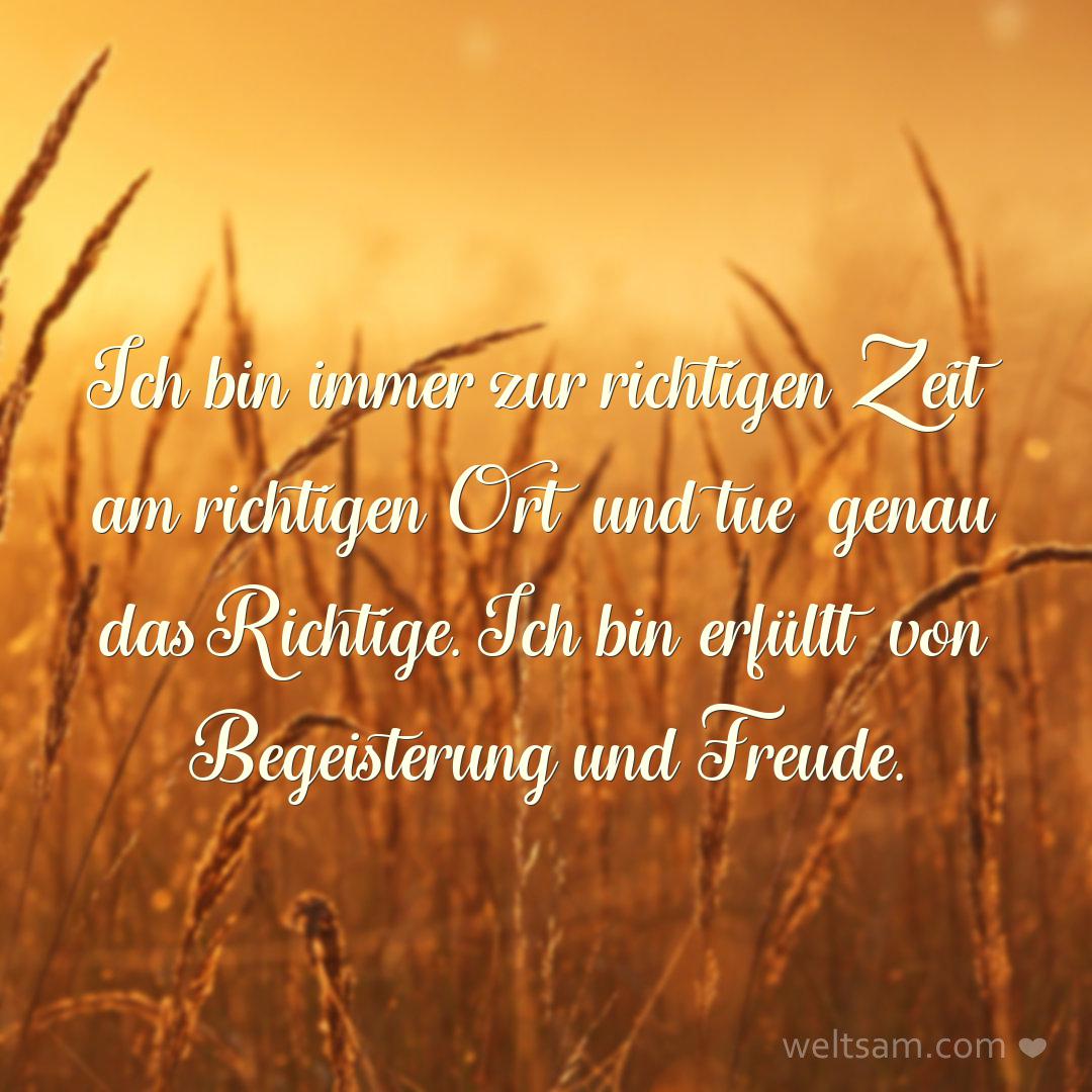 Ich bin immer zur richtigen Zeit am richtigen Ort und tue genau das Richtige. Ich bin erfüllt von Begeisterung und Freude.