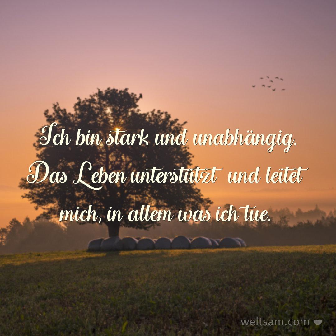 Ich bin stark und unabhängig. Das Leben unterstützt und leitet mich, in allem was ich tue.