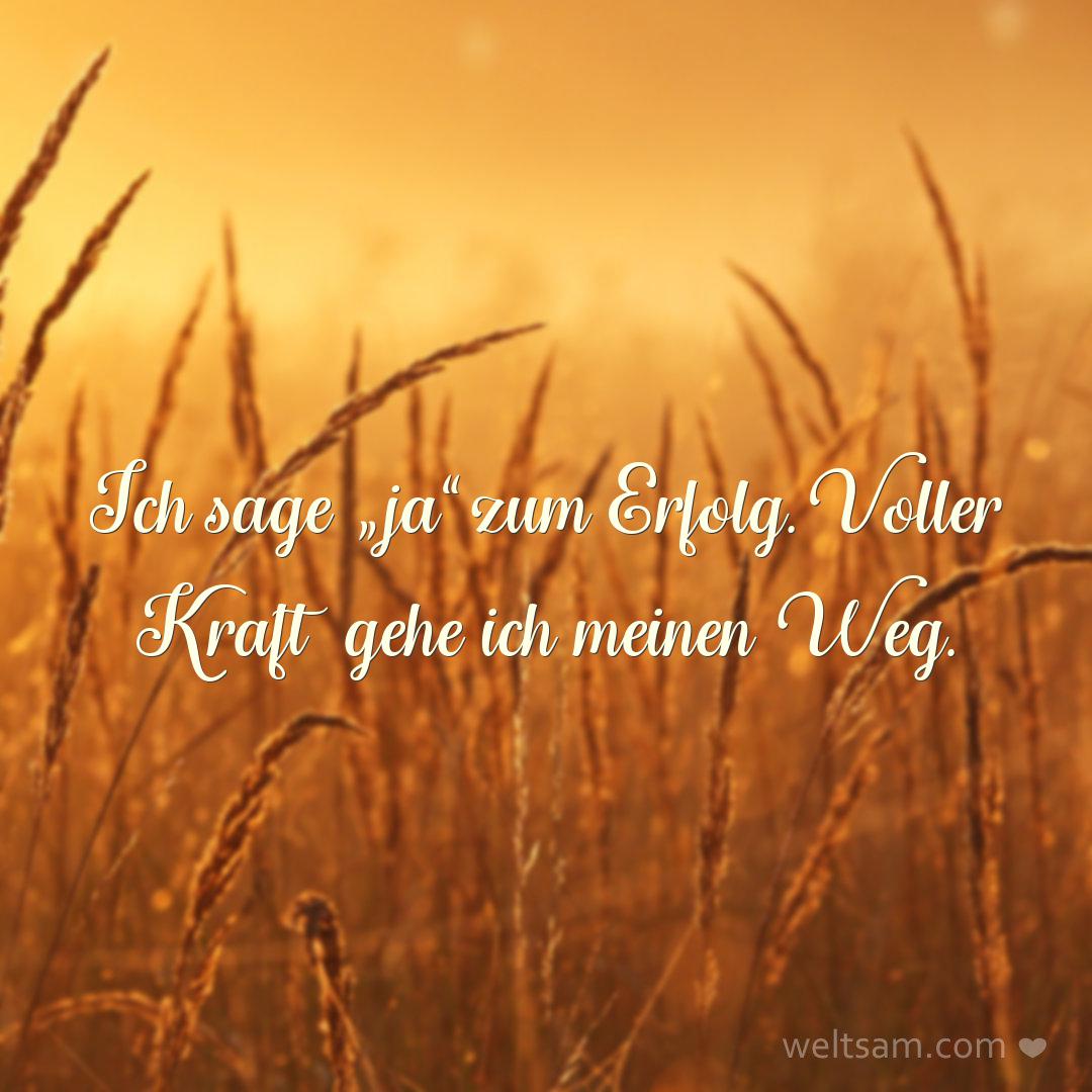 Ich sage „ja“ zum Erfolg. Voller Kraft gehe ich meinen Weg.