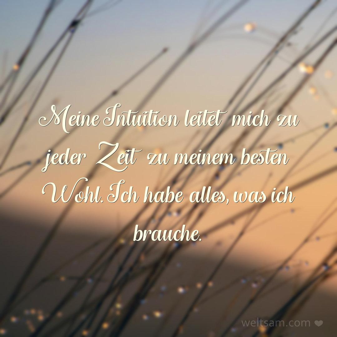 Meine Intuition leitet mich zu jeder Zeit zu meinem besten Wohl. Ich habe alles, was ich brauche.