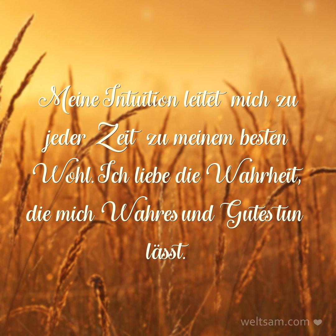 Meine Intuition leitet mich zu jeder Zeit zu meinem besten Wohl. Ich liebe die Wahrheit, die mich Wahres und Gutes tun lässt.