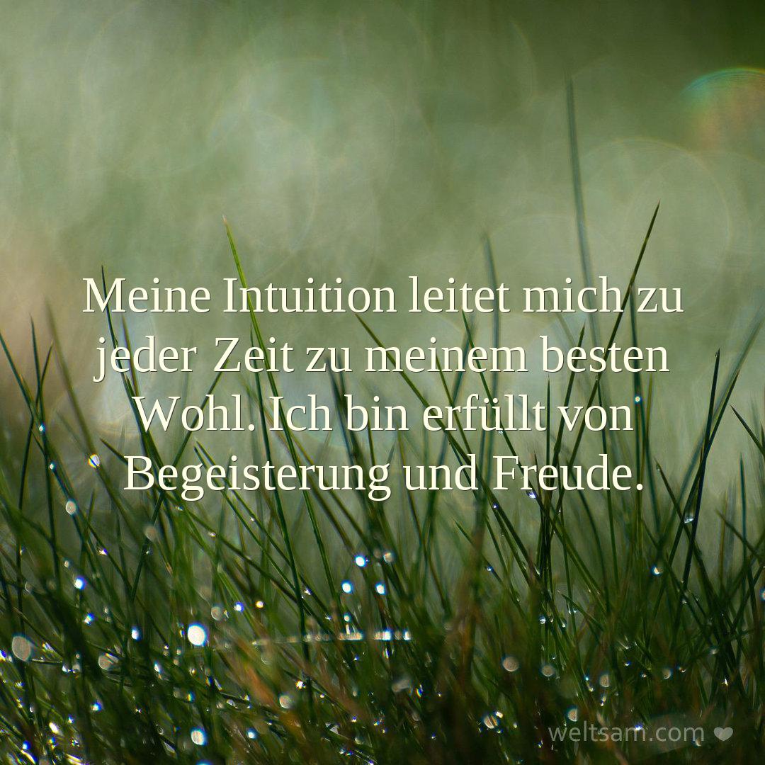 Meine Intuition leitet mich zu jeder Zeit zu meinem besten Wohl. Ich bin erfüllt von Begeisterung und Freude.