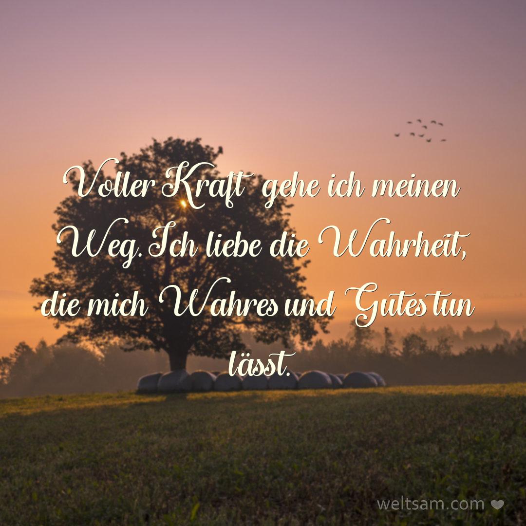 Voller Kraft gehe ich meinen Weg. Ich liebe die Wahrheit, die mich Wahres und Gutes tun lässt.