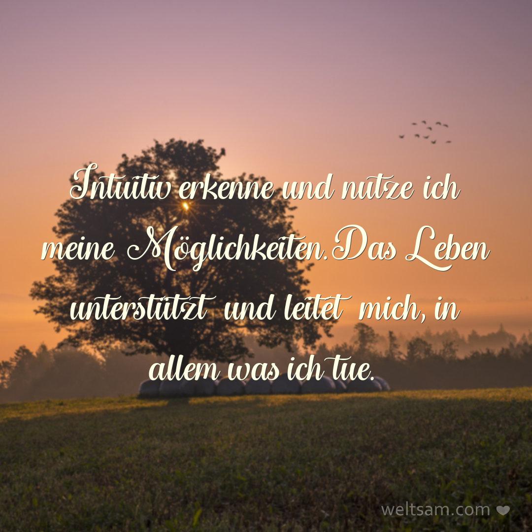 Intuitiv erkenne und nutze ich meine Möglichkeiten. Das Leben unterstützt und leitet mich, in allem was ich tue.