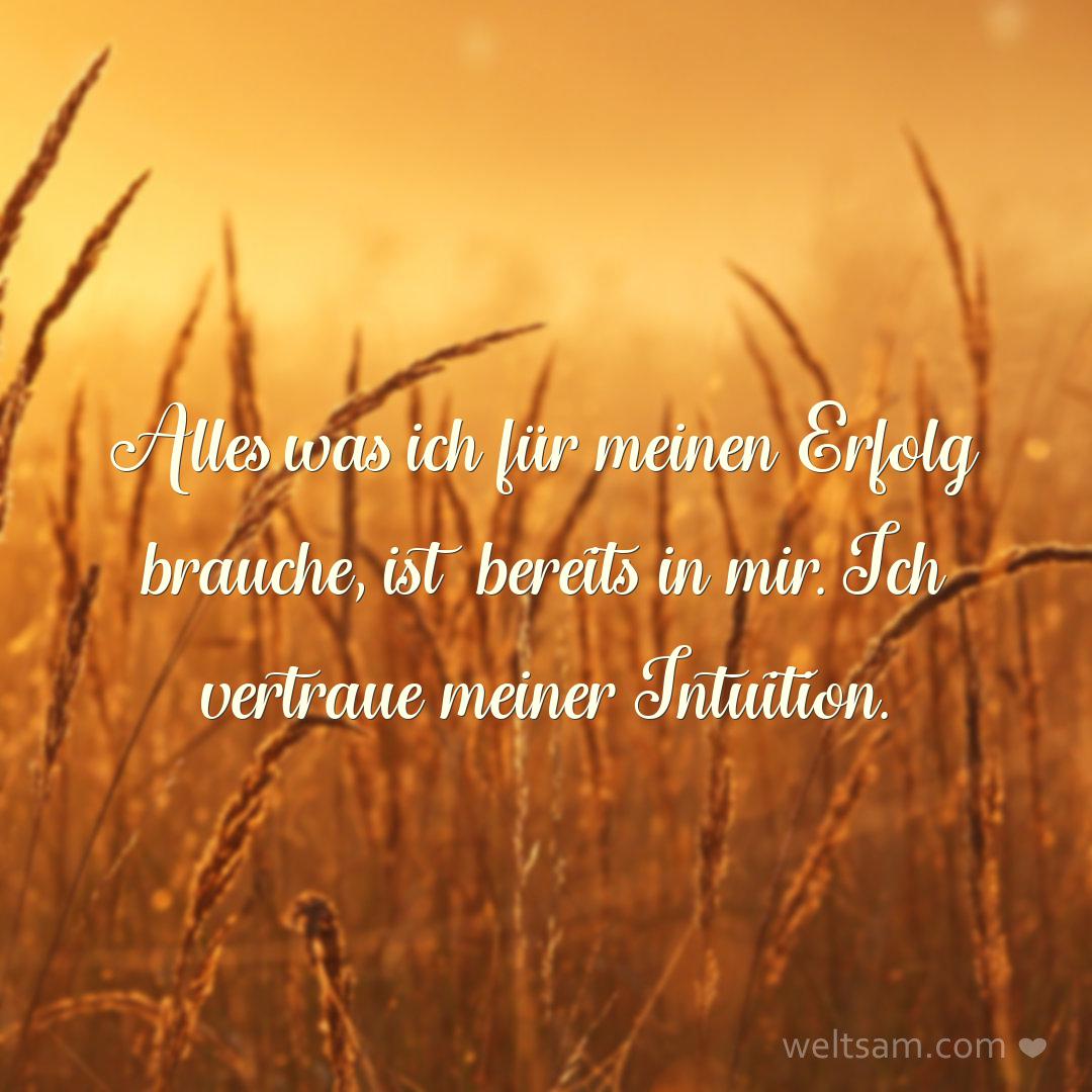 Alles was ich für meinen Erfolg brauche, ist bereits in mir. Ich vertraue meiner Intuition.