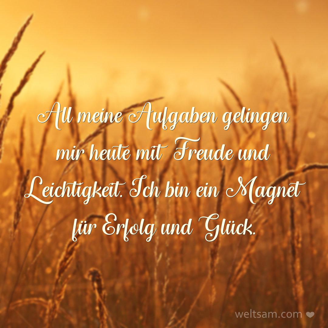 All meine Aufgaben gelingen mir heute mit Freude und Leichtigkeit. Ich bin ein Magnet für Erfolg und Glück.