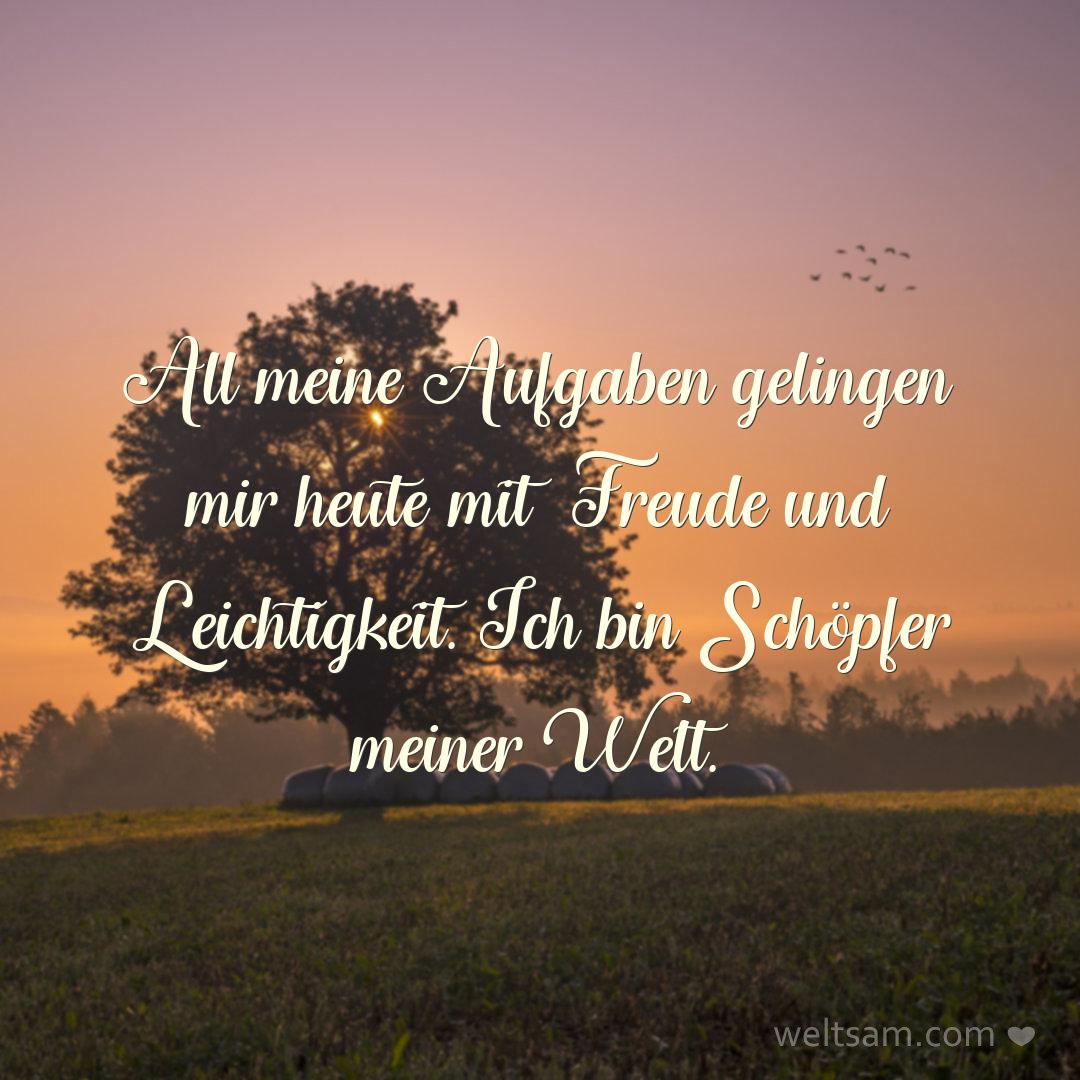 All meine Aufgaben gelingen mir heute mit Freude und Leichtigkeit. Ich bin Schöpfer meiner Welt.