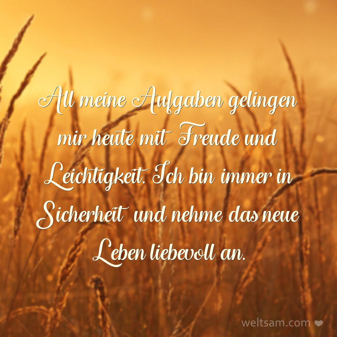 All meine Aufgaben gelingen mir heute mit Freude und Leichtigkeit. Ich bin immer in Sicherheit und nehme das neue Leben liebevoll an.