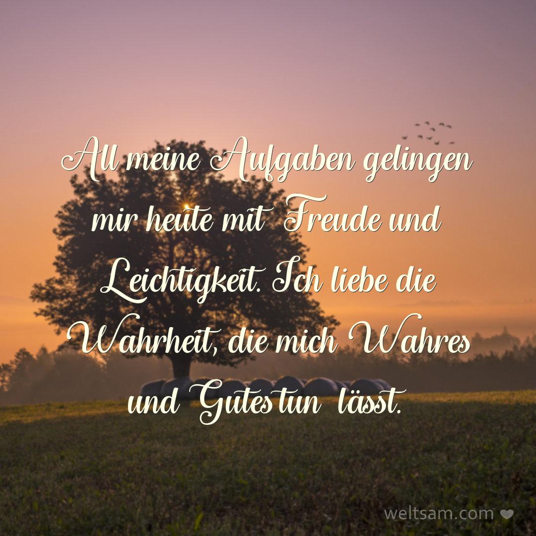 All meine Aufgaben gelingen mir heute mit Freude und Leichtigkeit. Ich liebe die Wahrheit, die mich Wahres und Gutes tun lässt.