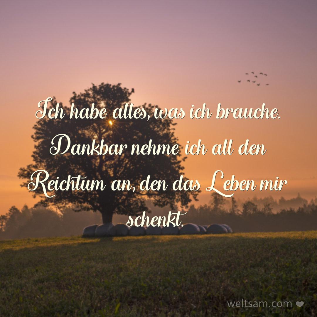 Ich habe alles, was ich brauche. Dankbar nehme ich all den Reichtum an, den das Leben mir schenkt.
