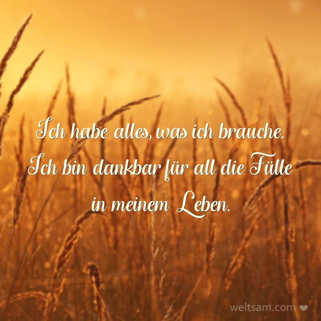 Ich habe alles, was ich brauche. Ich bin dankbar für all die Fülle in meinem Leben.