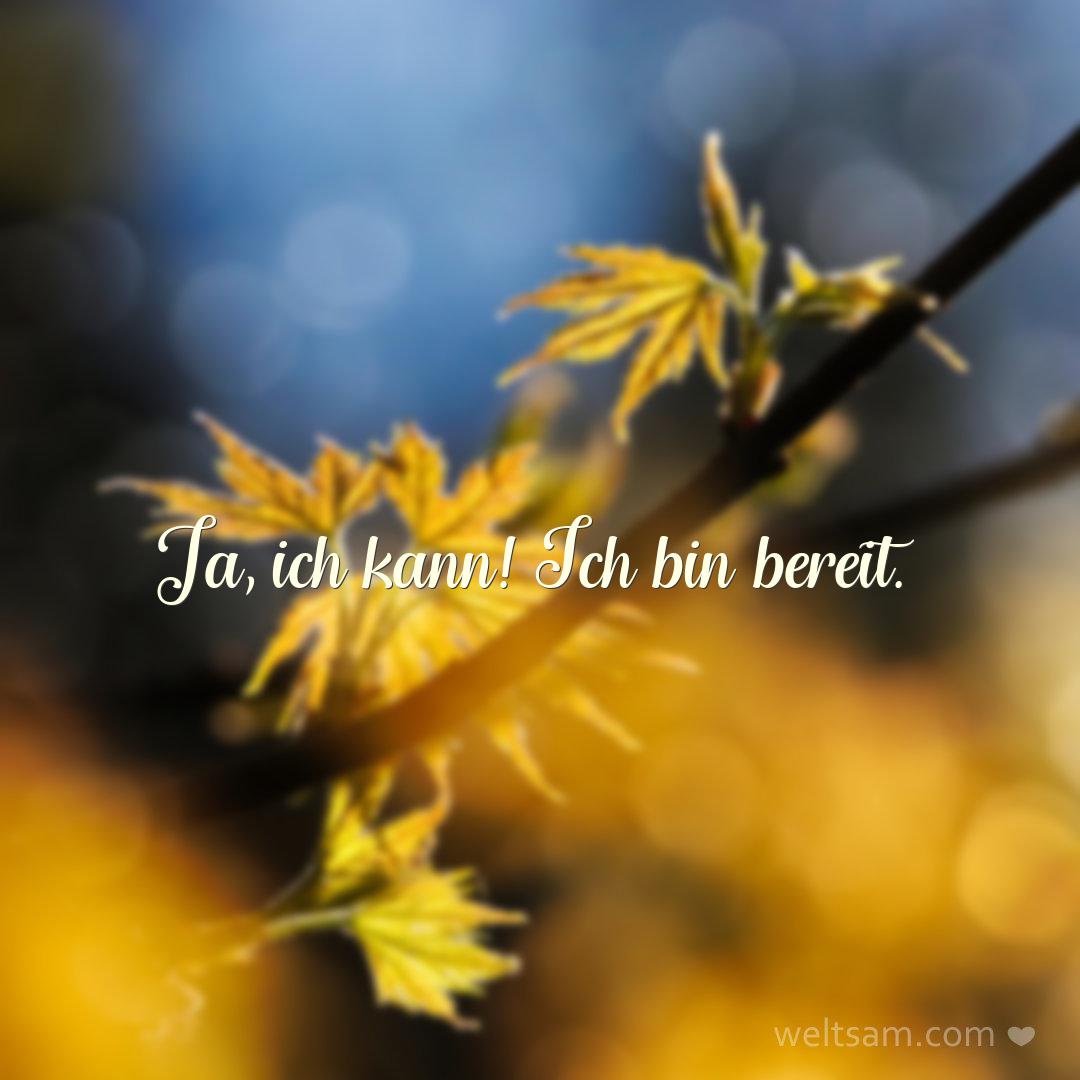 Ja, ich kann! Ich bin bereit.