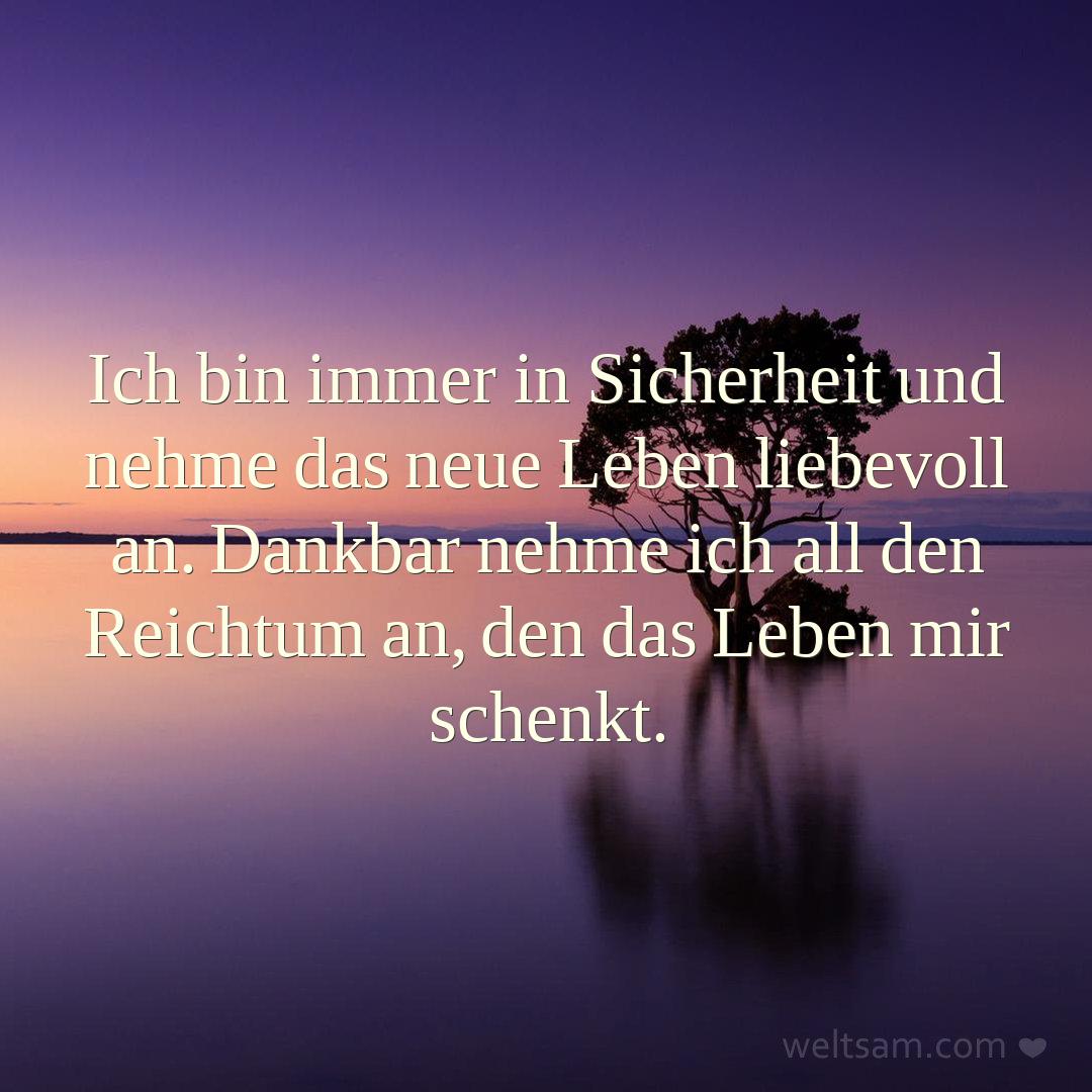 Ich bin immer in Sicherheit und nehme das neue Leben liebevoll an. Dankbar nehme ich all den Reichtum an, den das Leben mir schenkt.