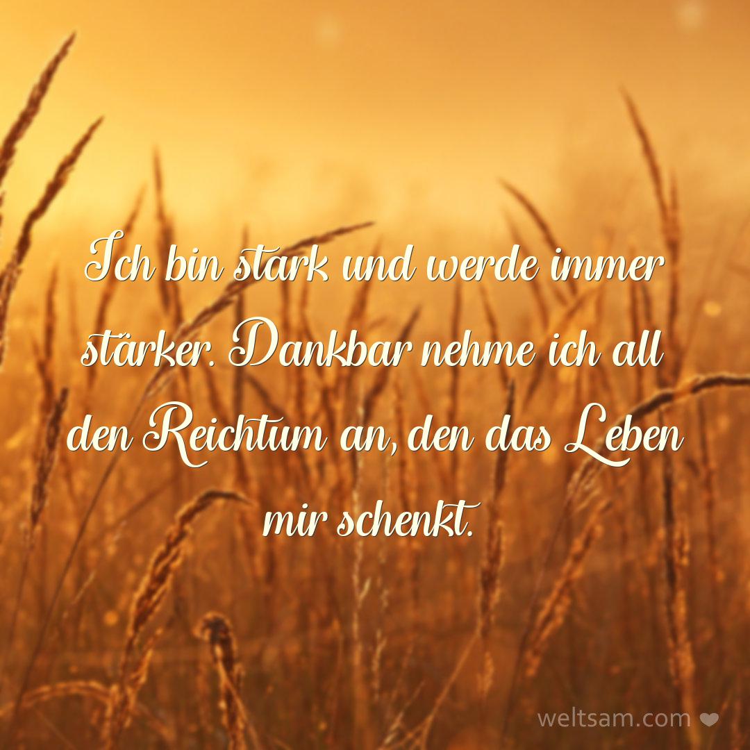 Ich bin stark und werde immer stärker. Dankbar nehme ich all den Reichtum an, den das Leben mir schenkt.