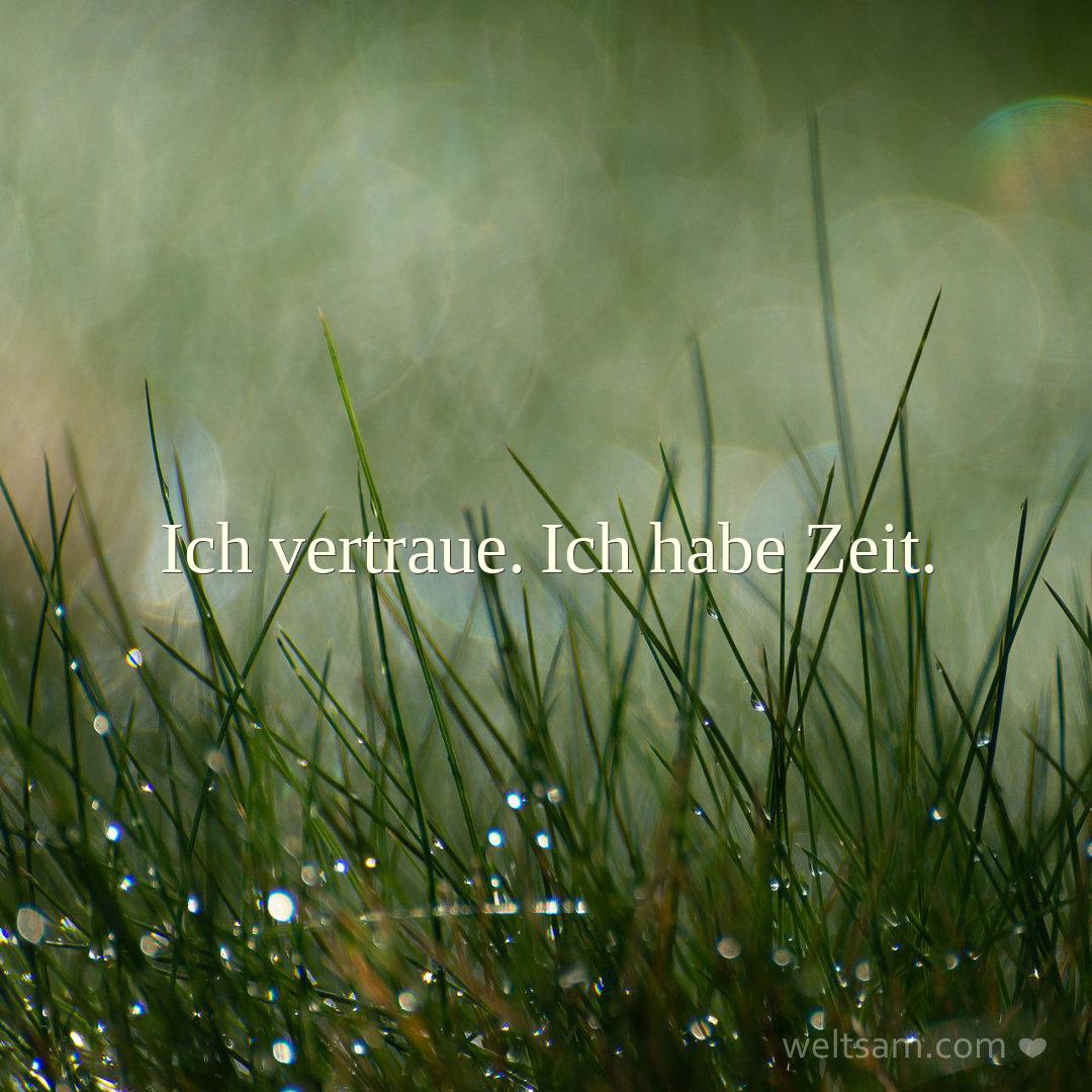 Ich vertraue. Ich habe Zeit.