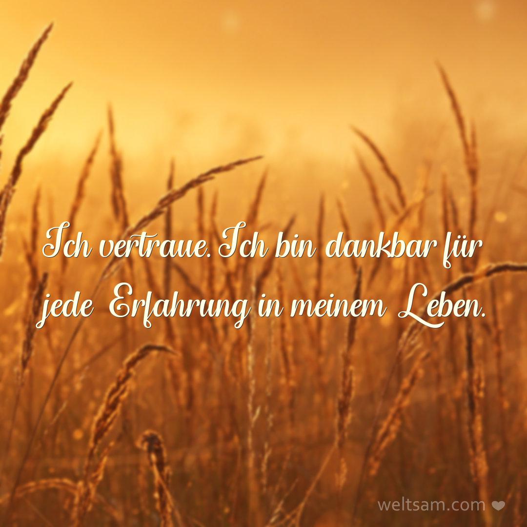 Ich vertraue. Ich bin dankbar für jede Erfahrung in meinem Leben.