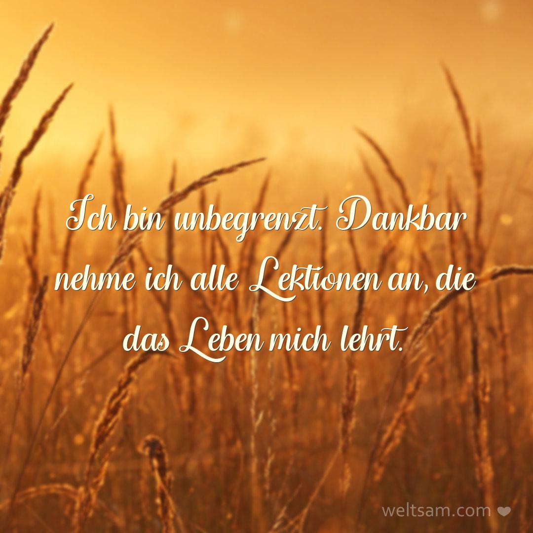 Ich bin unbegrenzt. Dankbar nehme ich alle Lektionen an, die das Leben mich lehrt.
