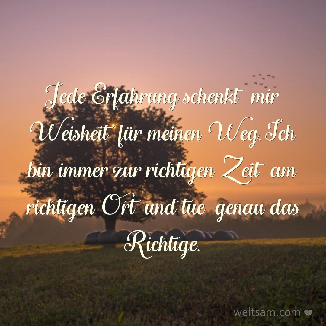 Jede Erfahrung schenkt mir Weisheit für meinen Weg. Ich bin immer zur richtigen Zeit am richtigen Ort und tue genau das Richtige.