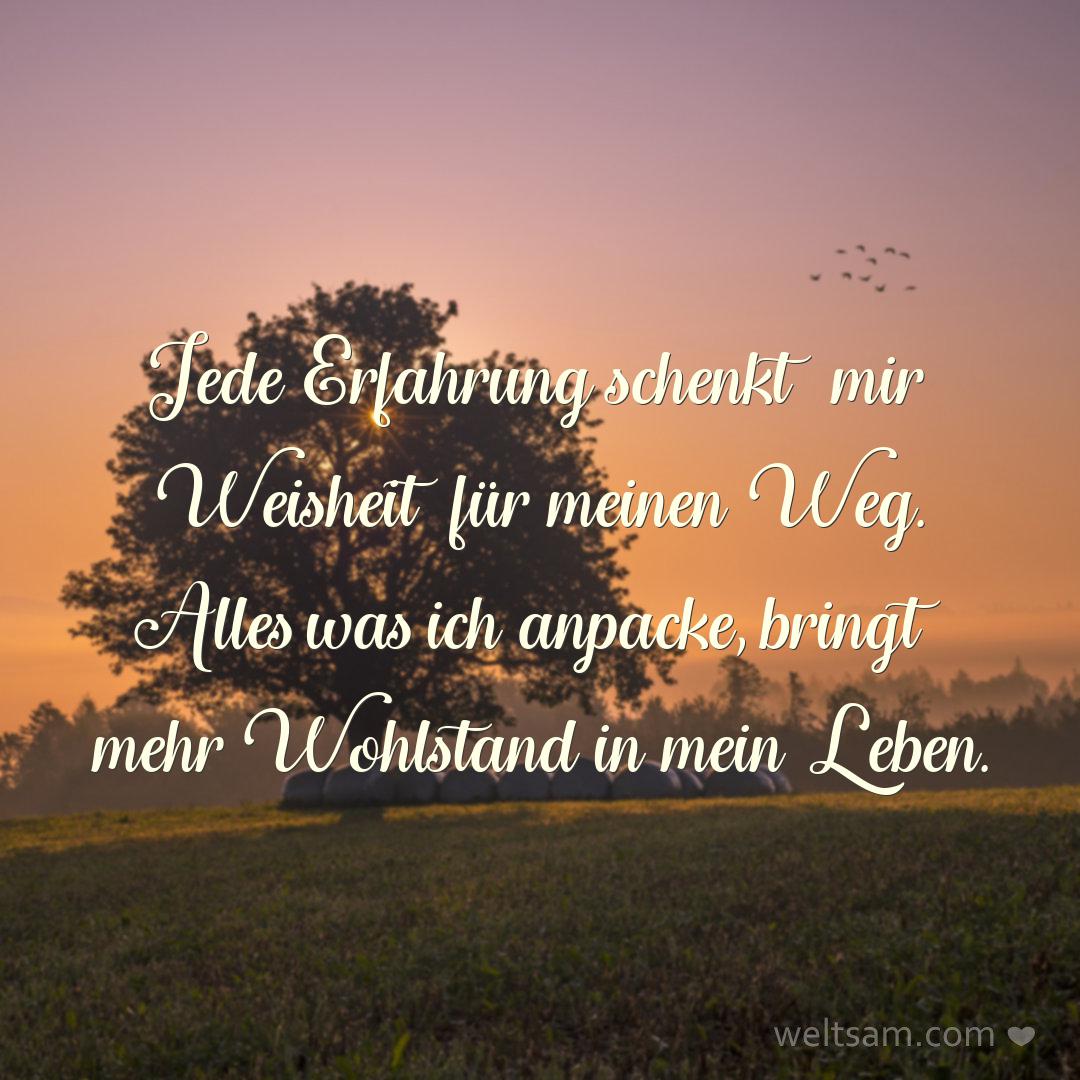 Jede Erfahrung schenkt mir Weisheit für meinen Weg. Alles was ich anpacke, bringt mehr Wohlstand in mein Leben.