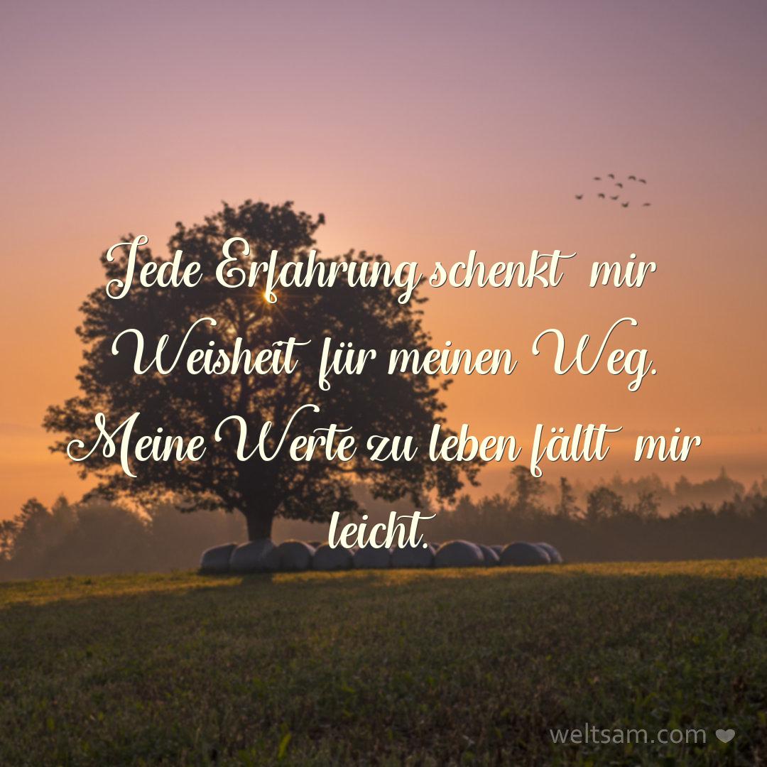 Jede Erfahrung schenkt mir Weisheit für meinen Weg. Meine Werte zu leben fällt mir leicht.