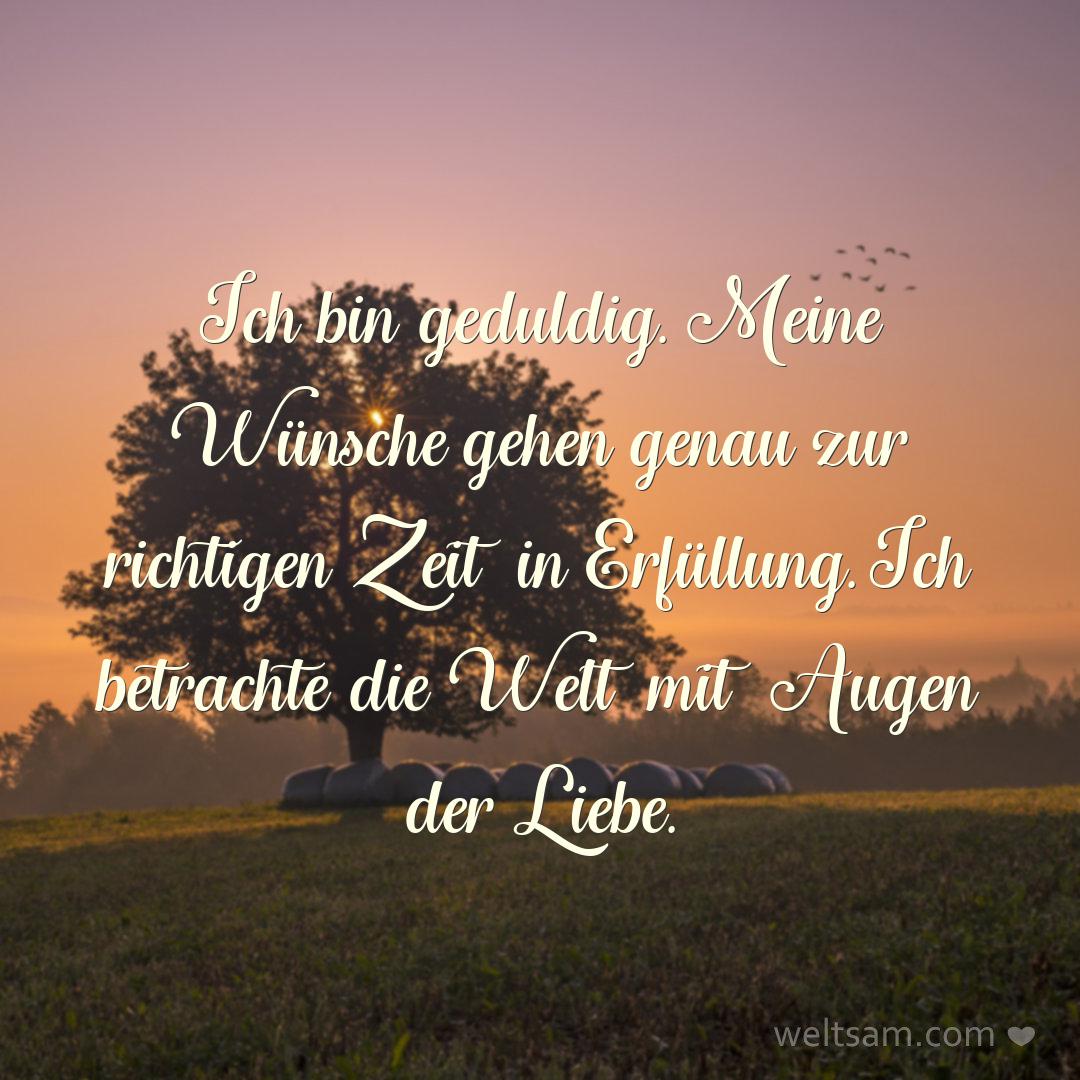 Ich bin geduldig. Meine Wünsche gehen genau zur richtigen Zeit in Erfüllung. Ich betrachte die Welt mit Augen der Liebe.