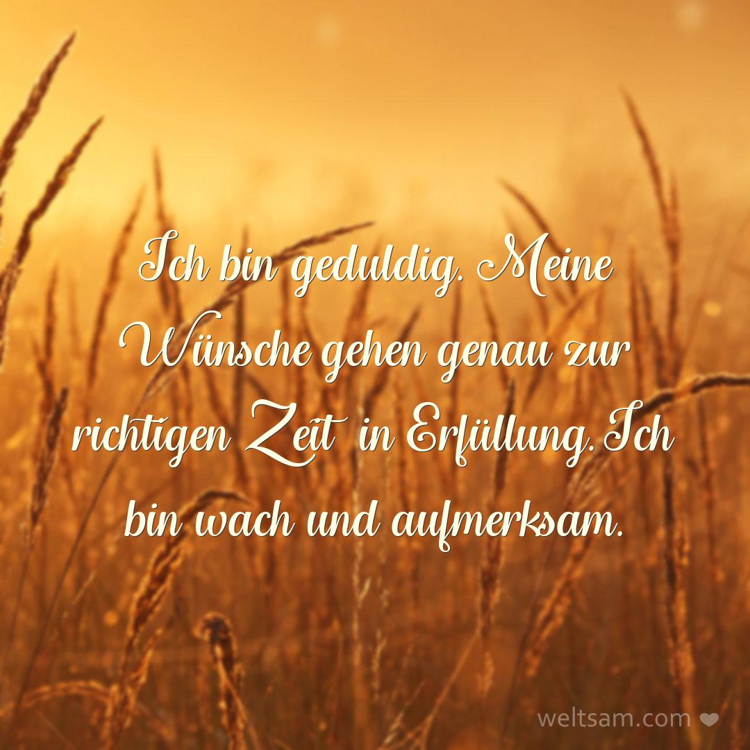 Ich bin geduldig. Meine Wünsche gehen genau zur richtigen Zeit in Erfüllung. Ich bin wach und aufmerksam.