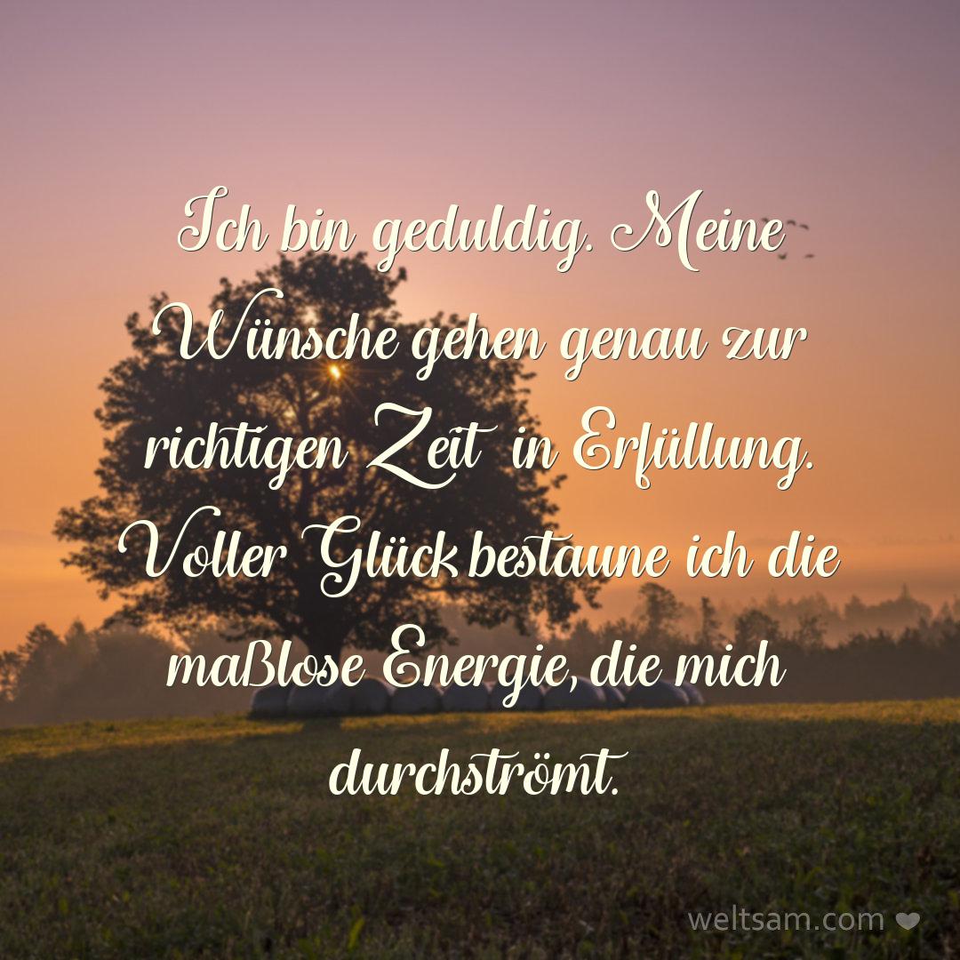 Ich bin geduldig. Meine Wünsche gehen genau zur richtigen Zeit in Erfüllung. Voller Glück bestaune ich die maßlose Energie, die mich durchströmt.