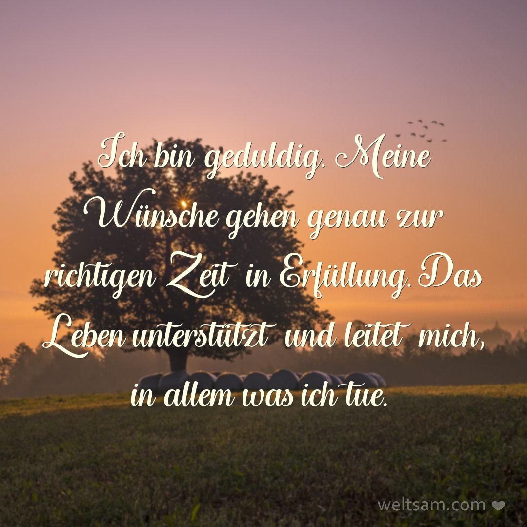 Ich bin geduldig. Meine Wünsche gehen genau zur richtigen Zeit in Erfüllung. Das Leben unterstützt und leitet mich, in allem was ich tue.